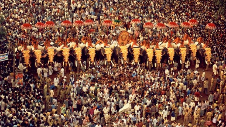തൃശ്ശൂർ പൂരം: ആനകളെ എഴുന്നള്ളിക്കുന്നതിൽ ഇടപെടാനാകില്ലെന്ന് ഹൈക്കോടതി