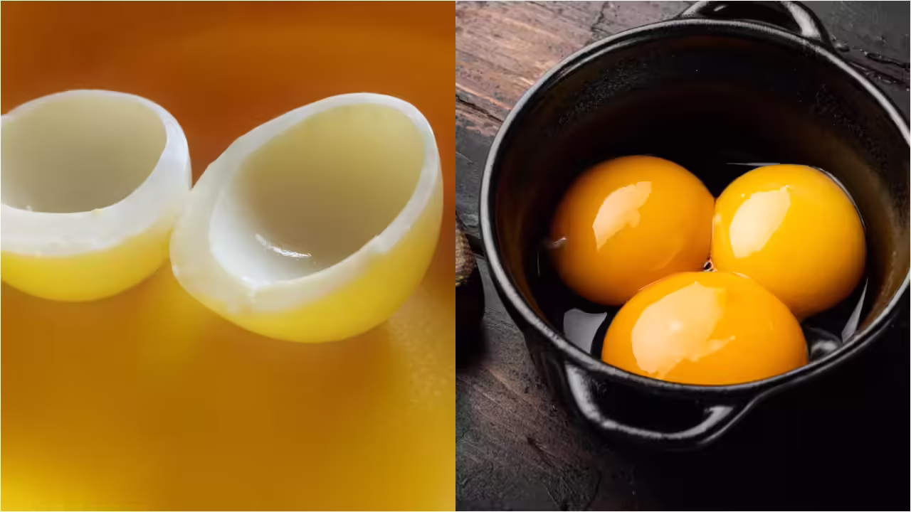 മുട്ടയുടെ മഞ്ഞക്കരു കഴിച്ചാൽ കൊളസ്ട്രോൾ കൂടുമോ? ഭയക്കേണ്ടതുണ്ടോ? പുതിയ പഠനങ്ങൾ പറയുന്നത്