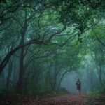 വാഹനങ്ങളില്ലാത്ത മണ്ണിലേക്ക് ഒരു യാത്ര; പ്രകൃതി ശാന്തമാകുന്ന ‘മാഥേരാൻ’ യാത്രാനുഭവങ്ങൾ