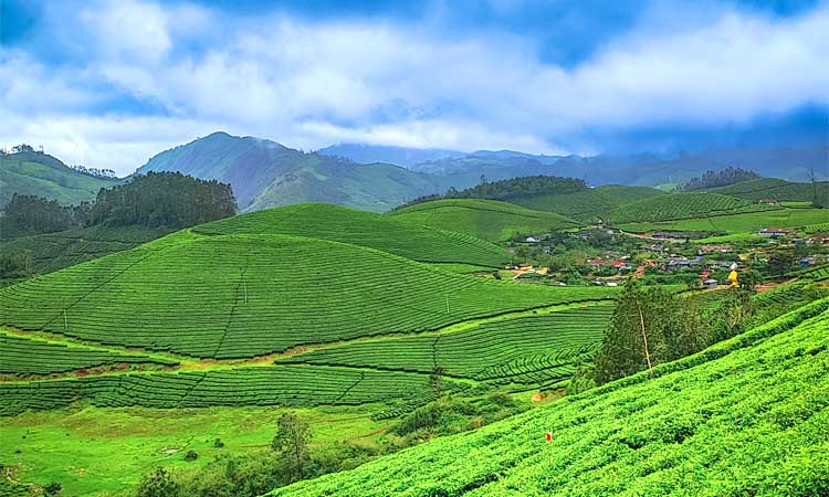 കോടമഞ്ഞും കുളിരും തേടി സഞ്ചാരികളുടെ പ്രവാഹം; ഓഫ്‌സീസണിലും തിരക്കിലമർന്ന് മൂന്നാർ