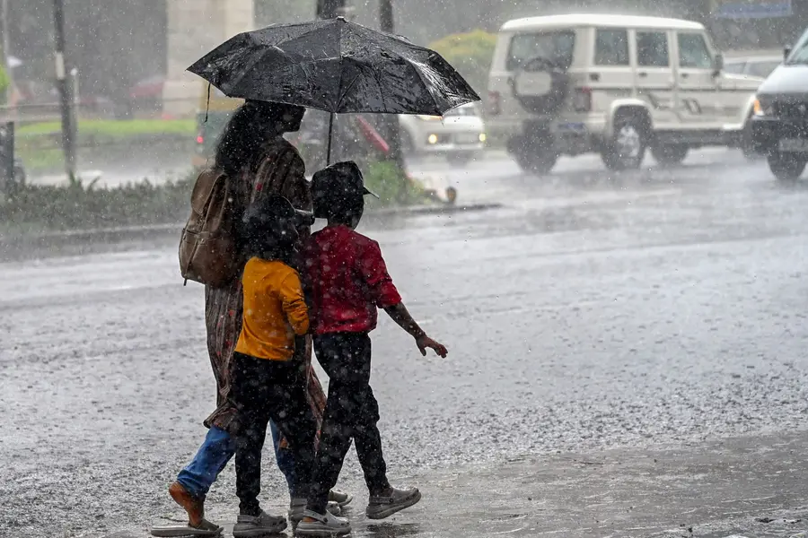 സംസ്ഥാനത്ത് കാലവർഷം കനക്കുന്നു; 8 ജില്ലകളിൽ യെല്ലോ അലർട്ട്, ജൂൺ 9 മുതൽ ട്രോളിംഗ് നിരോധനം