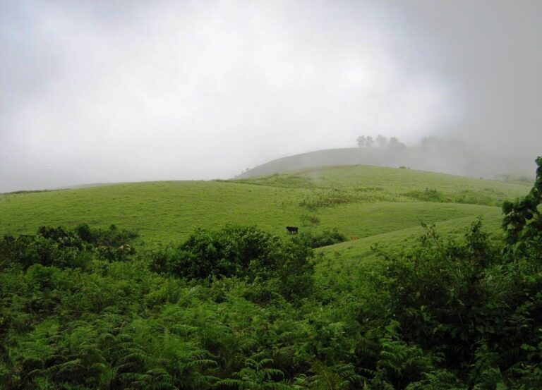 vagamon