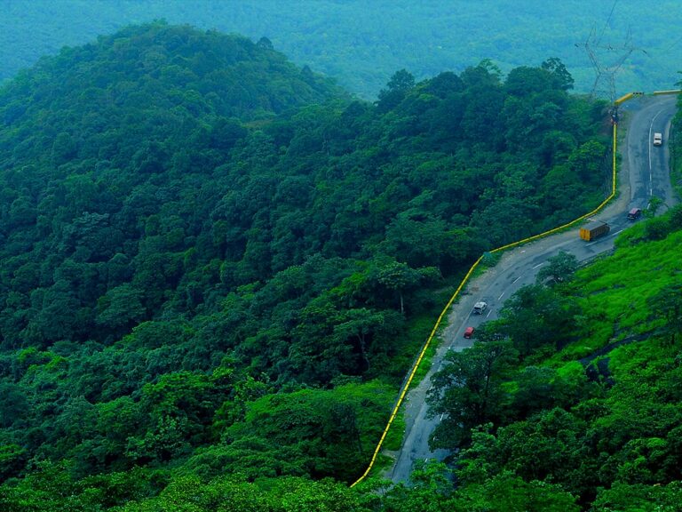 മഴക്കാലത്തെ വരവേൽക്കാൻ വയനാട് ഒരുങ്ങി; ഓഫ്‌ബീറ്റ് യാത്രകൾക്കും മൺസൂൺ ടൂറിസത്തിനും മികച്ച അവസരം