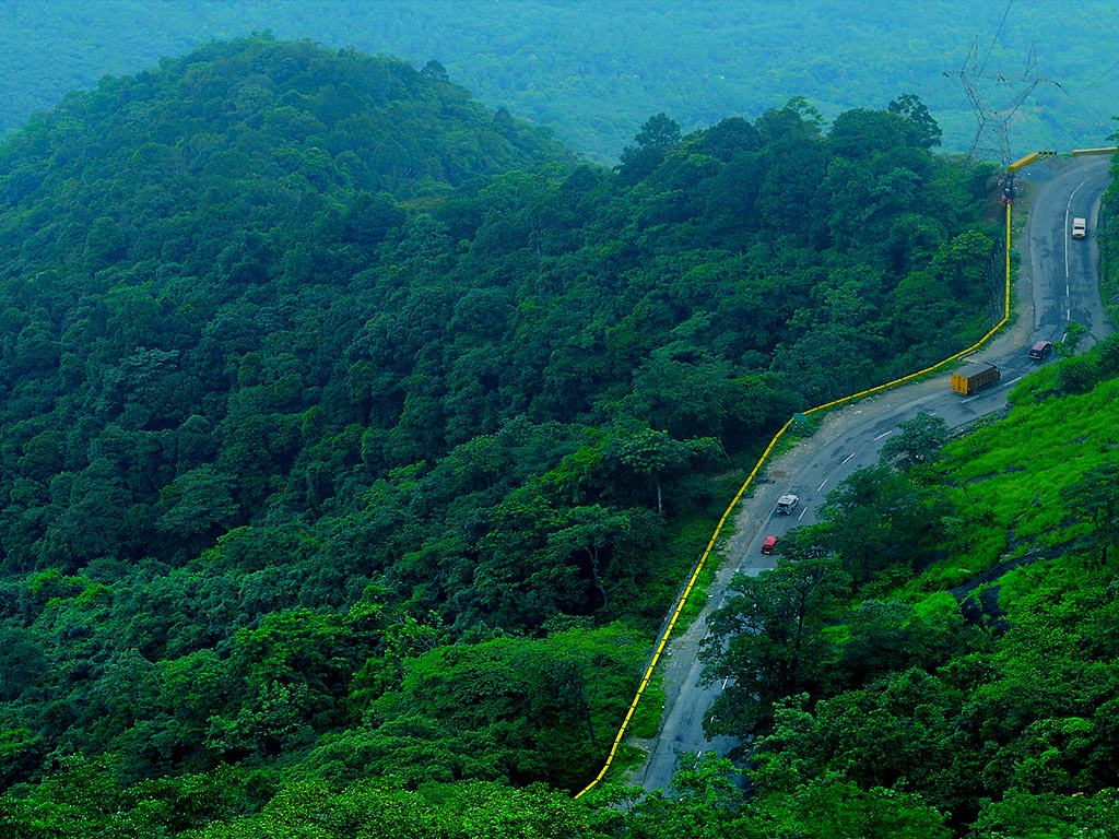 മഴക്കാലത്തെ വരവേൽക്കാൻ വയനാട് ഒരുങ്ങി; ഓഫ്‌ബീറ്റ് യാത്രകൾക്കും മൺസൂൺ ടൂറിസത്തിനും മികച്ച അവസരം