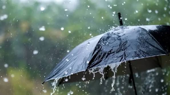 കനത്ത മഴ: വയനാട്ടിലേക്ക് അത്യാവശ്യമല്ലാത്ത യാത്രകൾ ഒഴിവാക്കണം; നിർദേശവുമായി ജില്ലാ കളക്ടർ